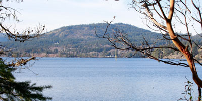 west side of Roche Cove