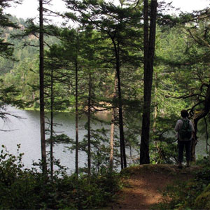 Matheson Lake Trail